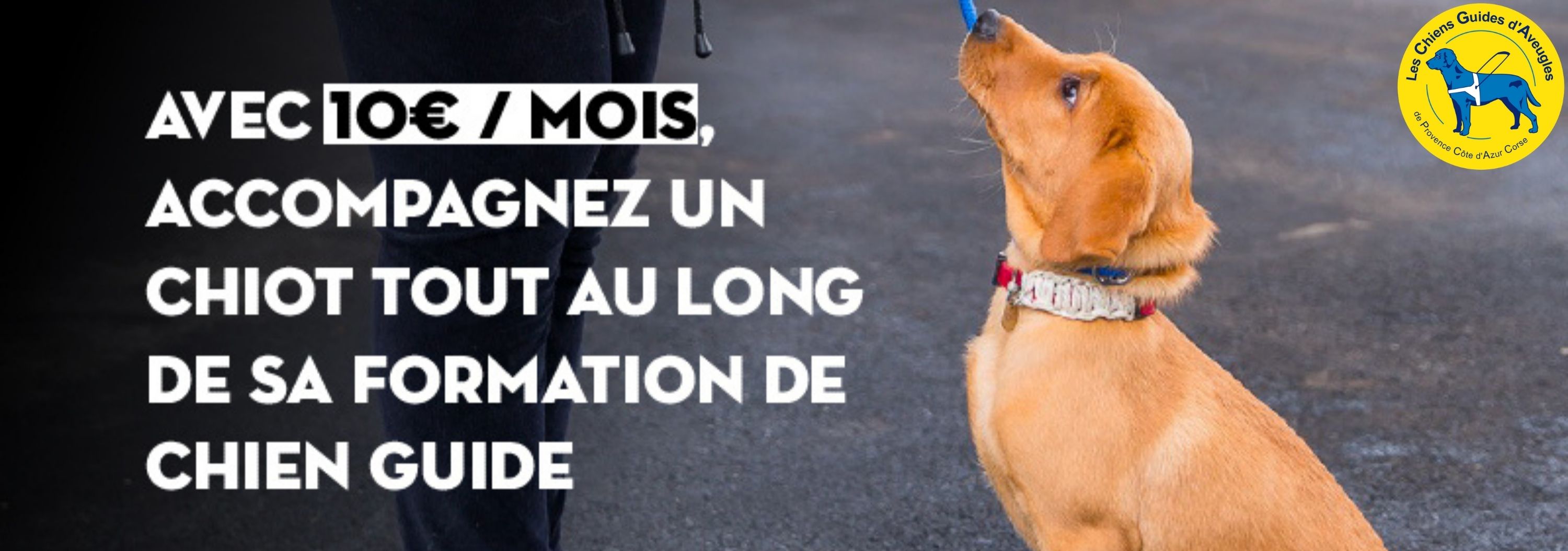 Monochrome Paysage Tumblr Bannière.jpg