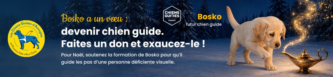CFA 2026